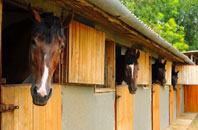 free Upper Grove Common stable construction quotes